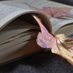 leggere in autunno