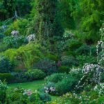 Taverna La compagnia di un giardino